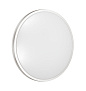 3008/DL TAN SN 220 Светильник пластик/никель LED 48Вт 3000-6300K D390 IP43 пульт ДУ/ LampSmart PARTIAL