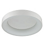 4066/40CL L-VISION ODL19 383 белый/серый Люстра потолочная с ДУ LED 40W 220V SOLE
