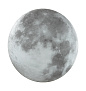 3084/CLN PALE SN 117 Светильник пластик/белый/серый LED 36Вт 4000К D330 IP43 MOON