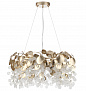 5104/8 CLASSIC ODL26 633 металл/стекло Люстра E14 8*40W 220В IP20 COINS