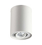 3564/1C HIGHTECH ODL18 000 белый Потолочный накладной светильник IP20 GU10 1*50W 220V PILLARON